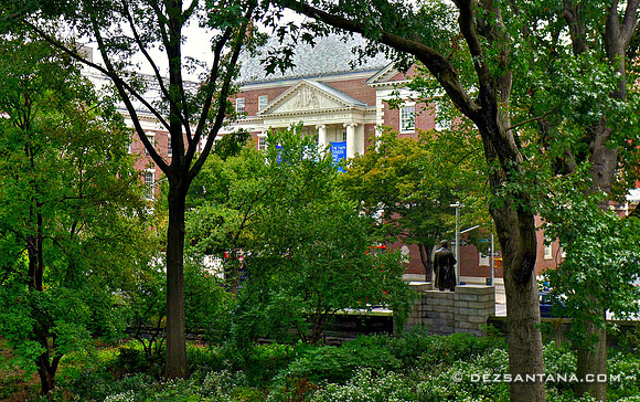 Museum of The City of NY, 2011