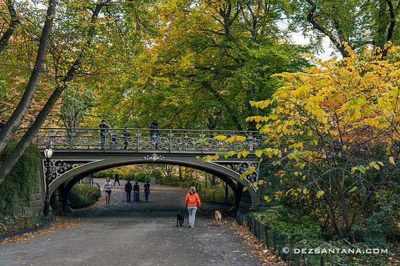 Bridge No. 24