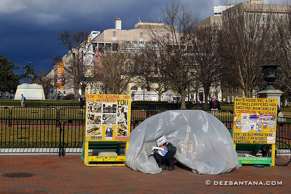 Pennsylvania Avenue Protestor