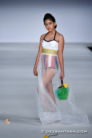 Ydamys Simo