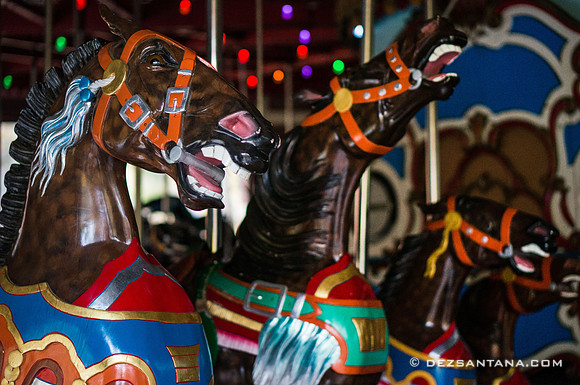 Central Park Carousel