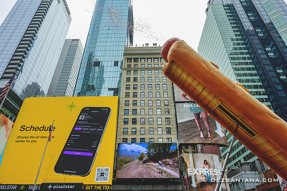 Hot Dog In The City