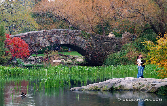 Gapstow Bridge