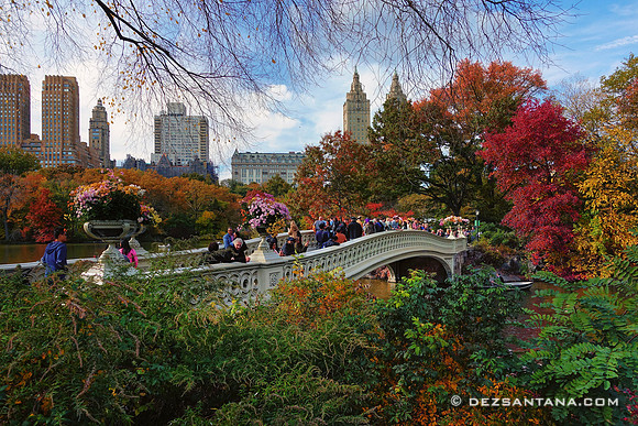 Bow Bridge