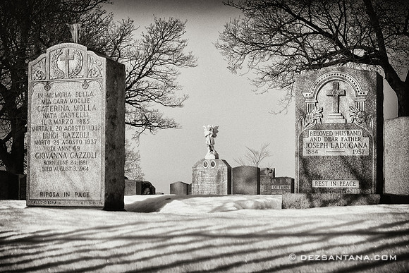 New Calvary Cemetery