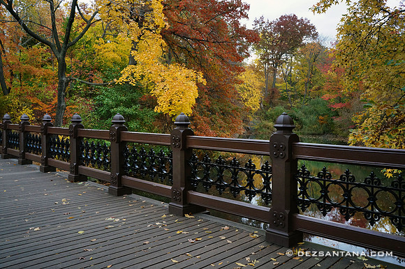 Oak Bridge