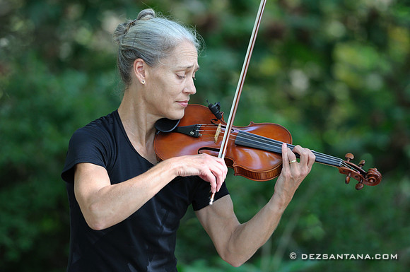 Violonist