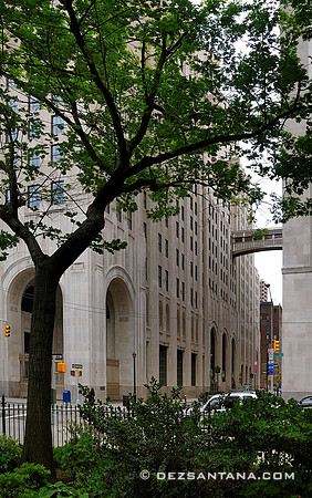 Madison Avenue & 24th Street, 2009