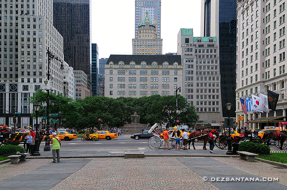 Grand Army Plaza, 2010