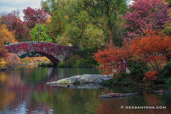 Gapstow Bridge
