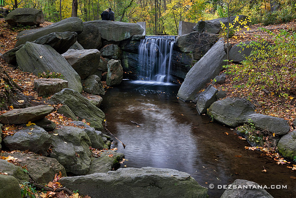 The Ravine