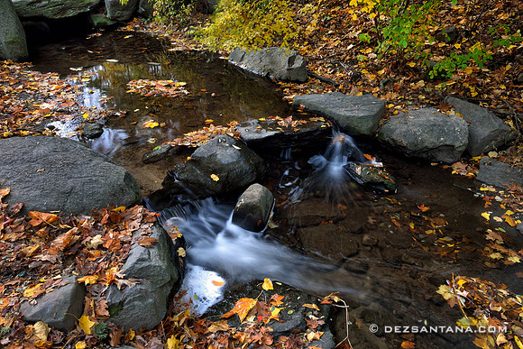The Ravine