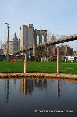 Brooklyn Bridge Park