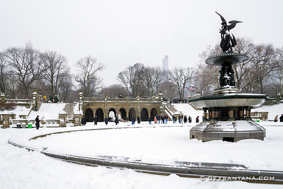 Bethesda Fountain