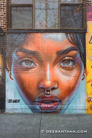 The Bushwick Collective