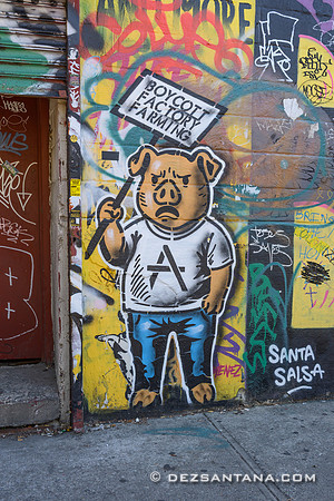 The Bushwick Collective