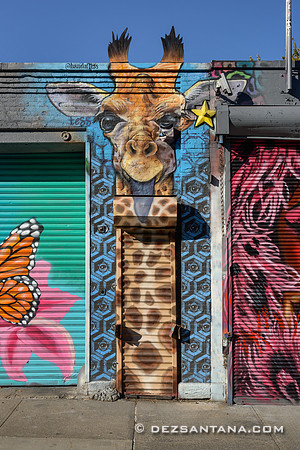 Bed-Stuy Walls