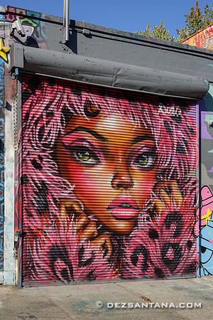 Bed-Stuy Walls