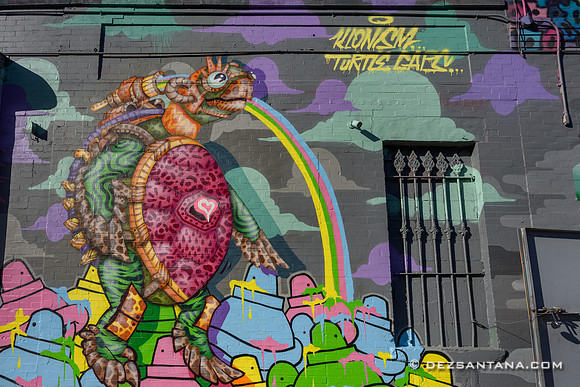 Bed-Stuy Walls