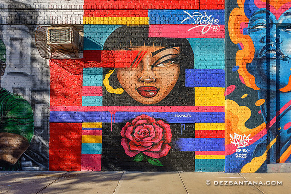 Bed-Stuy Walls