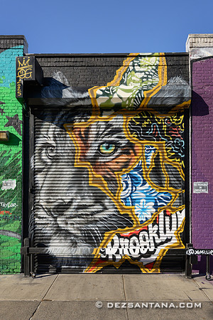 Bed-Stuy Walls