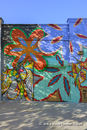 Bed-Stuy Walls