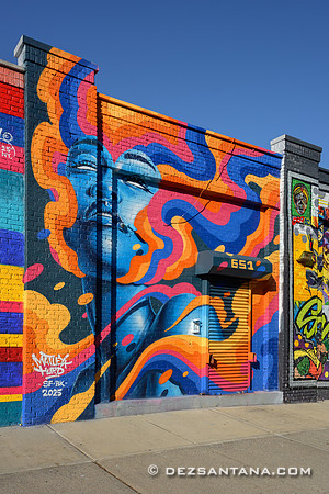 Bed-Stuy Walls