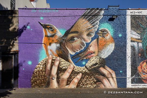 Bed-Stuy Walls