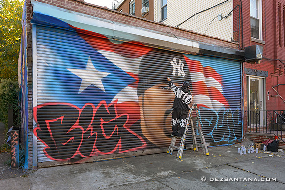 Bed-Stuy Walls