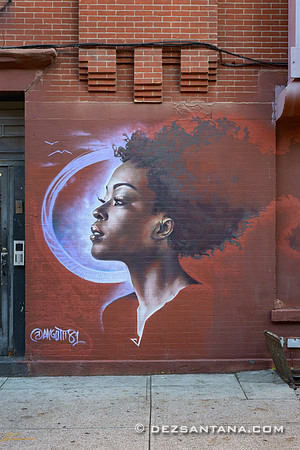 Bed-Stuy Walls