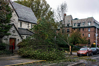 Hurricane Sandy
