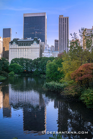 The Pond