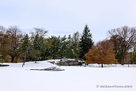 East Meadow