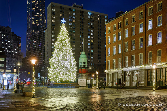 Fulton Street Christmas Tree