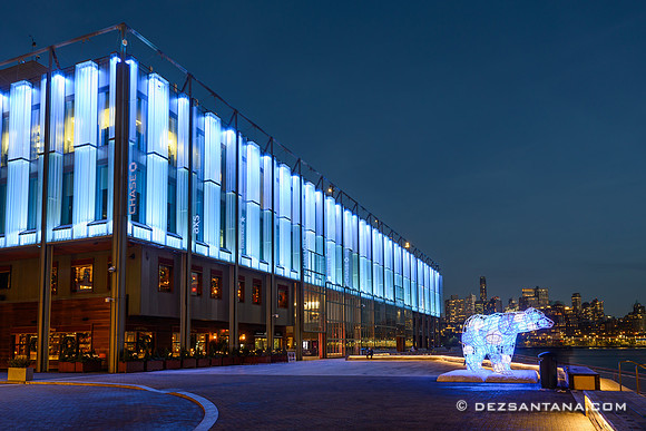 Pier 17 Polar Bear