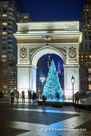 Washington Square Park Christmas Tree