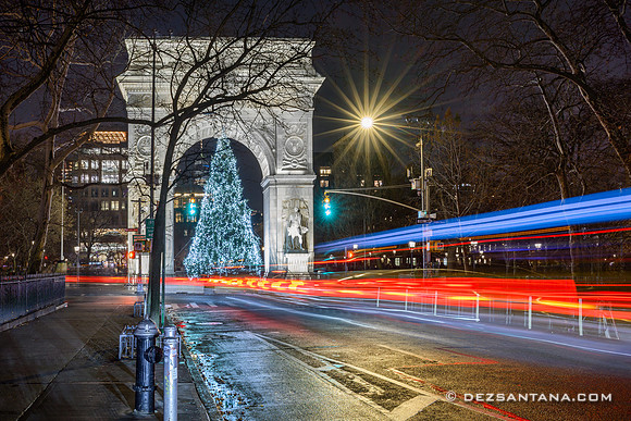 Washington Square Park Christmas Tree