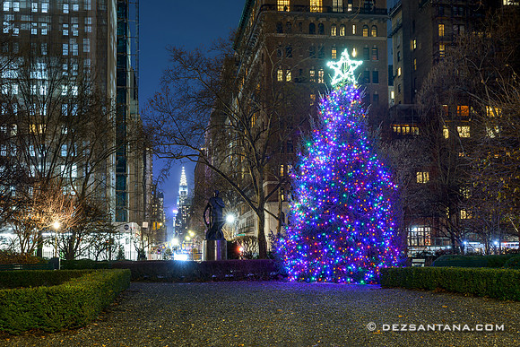 Gramercy Park Christmas Tree