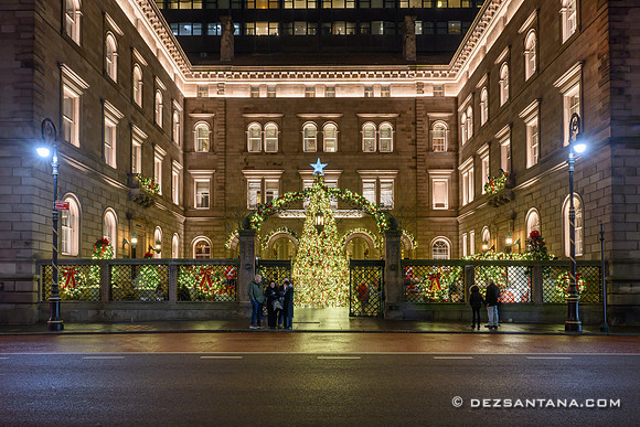 Lotte New York Palace Christmas Tree