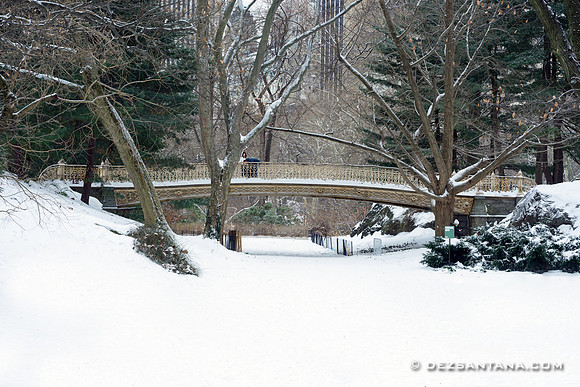 Pinebank Arch