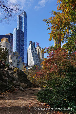 Fall Colors