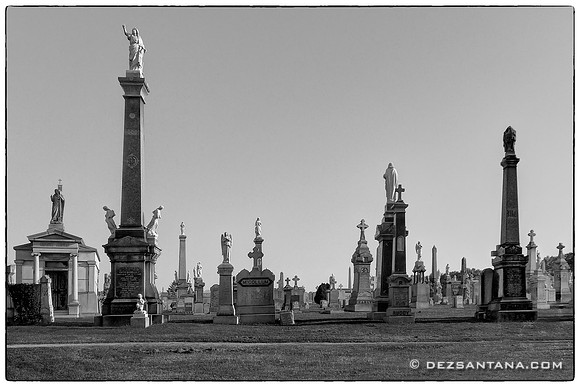 Calvary Cemetery