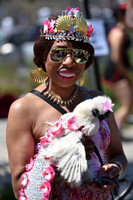 2016 Mermaid Parade