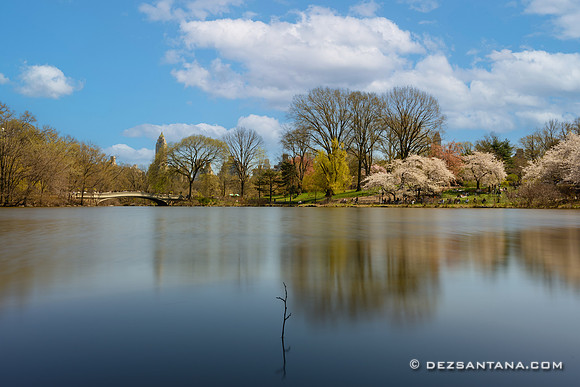 The Lake & Cherry Hill