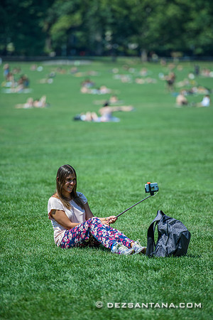 Sheep Meadow