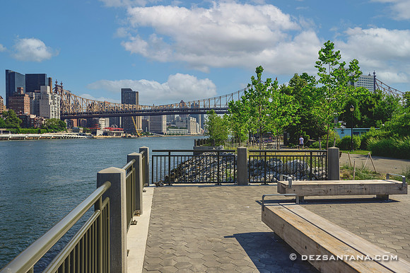 Roosevelt Island