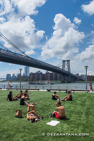 Domino Park