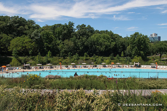 Gottesman Pool