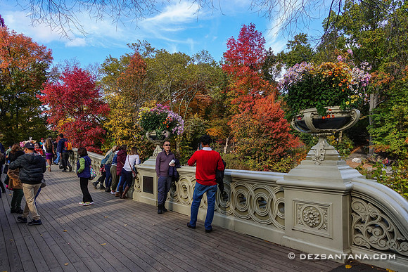 Bow Bridge