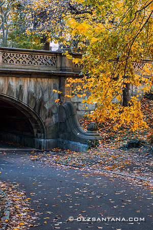 Grayshot Arch